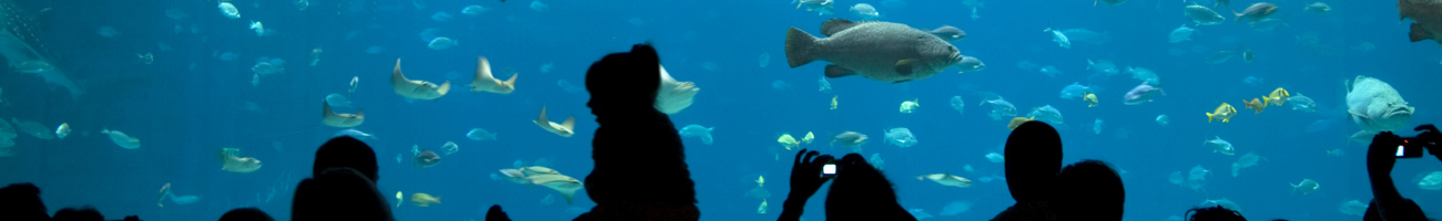 Salon La Vogue - Attractions Headers Aquarium 1 125 