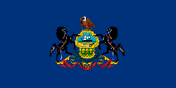 State Flag